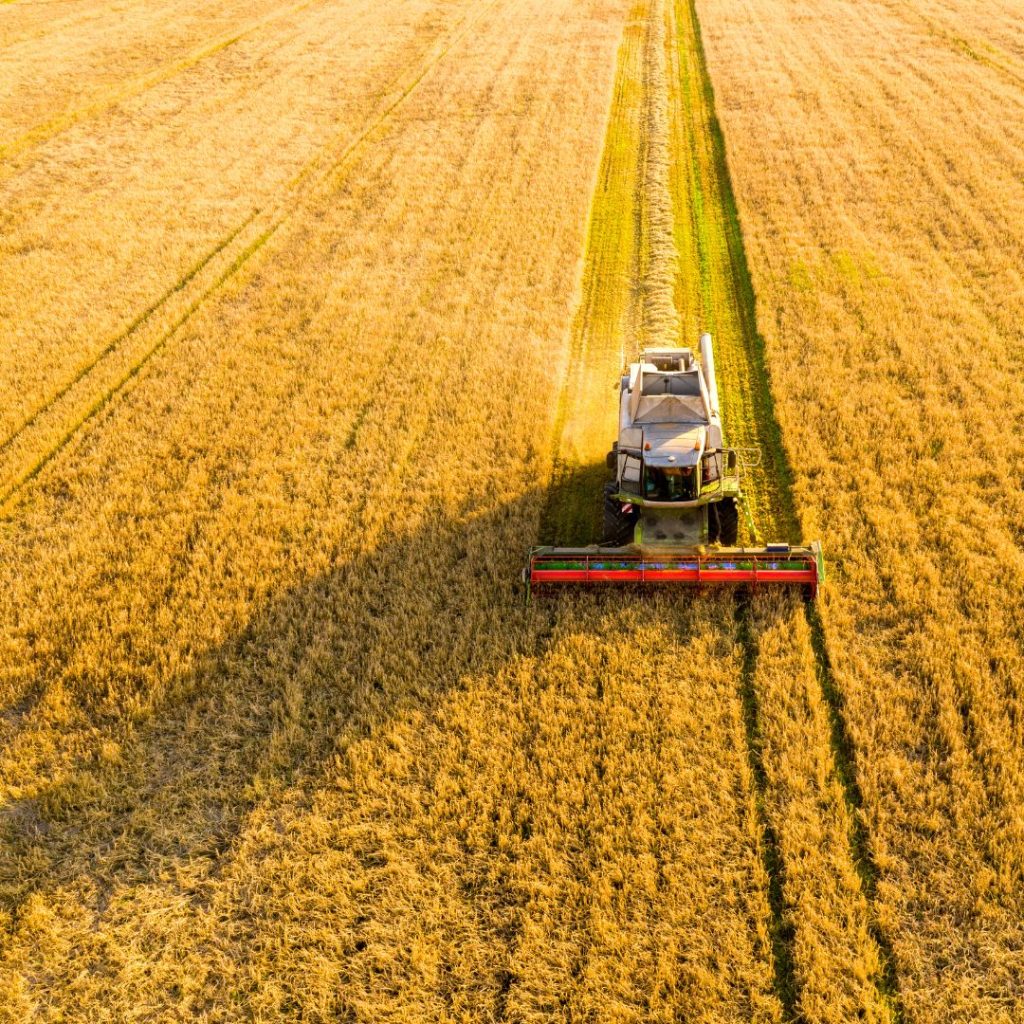 Sinergia con el sector productivo: el Decano Marull firmó un convenio con Pelayo S. A.